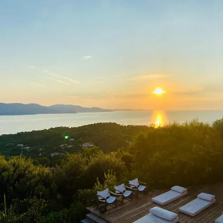 Les Alyzes * بورم لي ميموزا