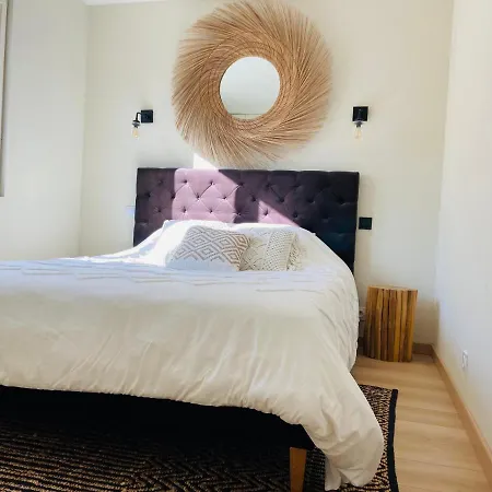 فيلة Les Alyzes بورم لي ميموزا