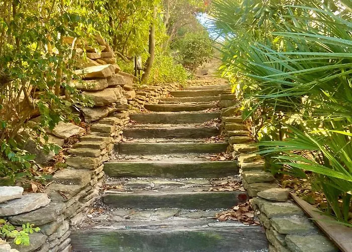 Les Alyzes * ボルム・レ・ミモザ